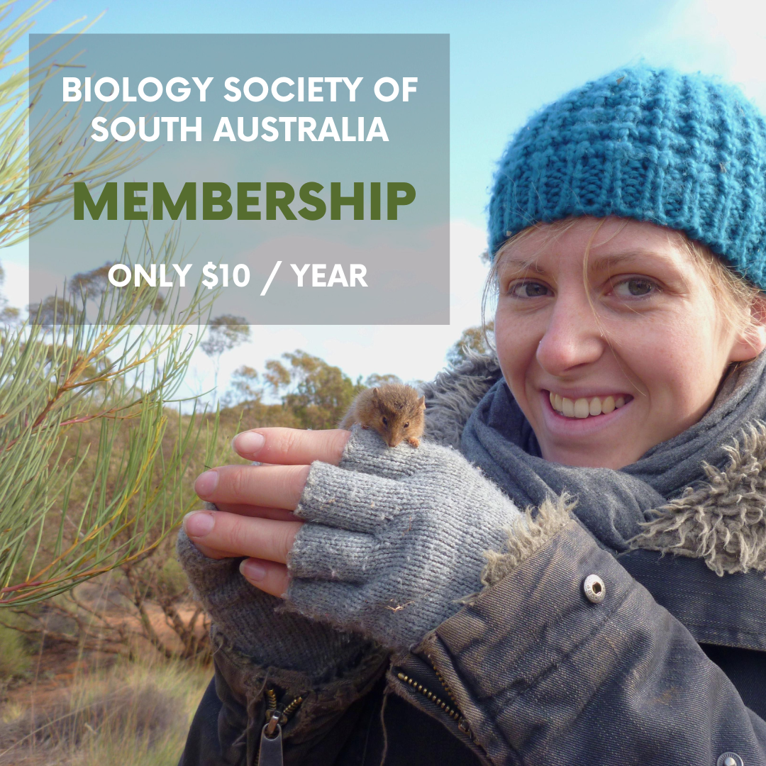 BSSA Membership 2024